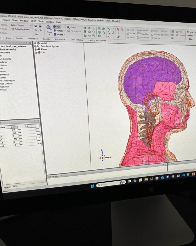 Antenna effects simulated on human